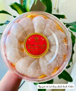 NGUYÊN TỔ RÚT LÔNG ĐỊNH HÌNH